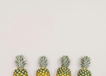 Chipotle investiert 100 Millionen Dollar in die Zukunft der Lebensmittel — Wir begrüßen Ihre innovativen Ideen