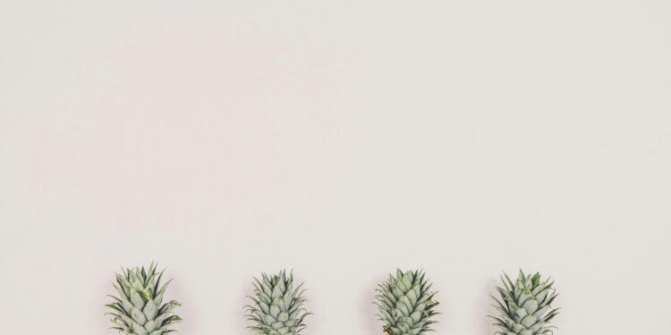 Chipotle investiert 100 Millionen Dollar in die Zukunft der Lebensmittel — Wir begrüßen Ihre innovativen Ideen