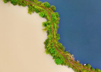 Entdeckung der Gegensätze: Indien vs. Indonesien