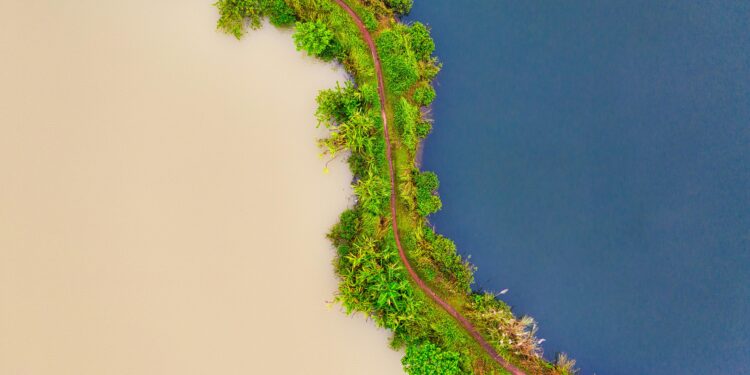 Entdeckung der Gegensätze: Indien vs. Indonesien