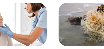 Sensilab – Ihr Partner für Gesundheit und Wohlbefinden