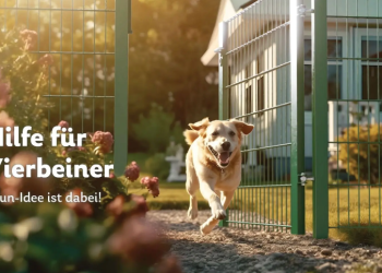 Zaun-Idee – Ihr Partner für hochwertige Zäune und Zaunsysteme