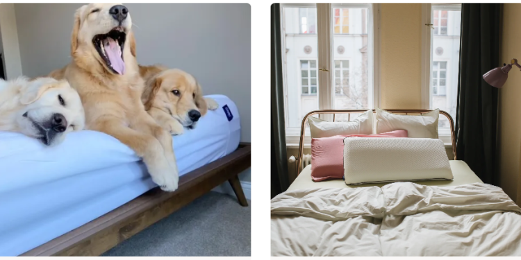 Emma Matratze: Der Weg zu besserem Schlaf